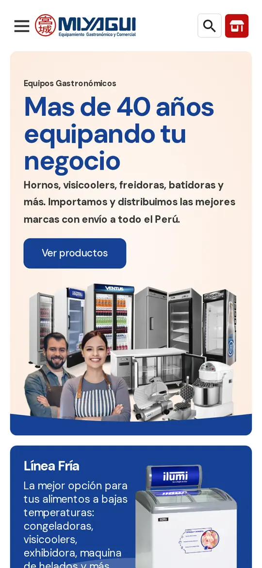 Web de Industrias Miyagui en móvil